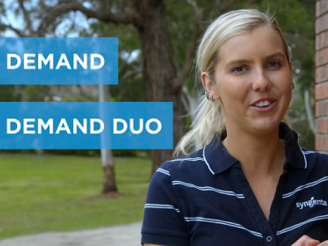 Demand vs Demand Duo