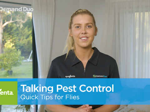 Aimee's quick tips for fly control
