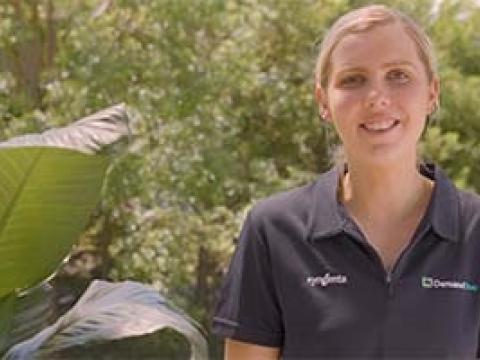 Demand 100CS plant whisperer teaser