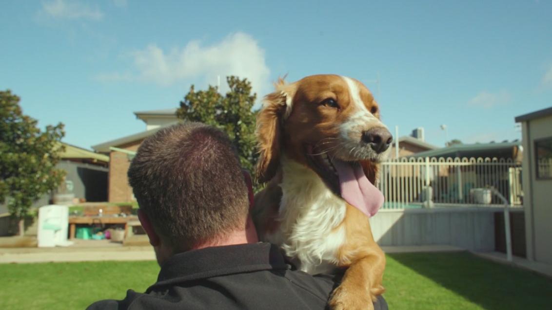 Ben the Termite Detective Dog from Riverside Pest Management