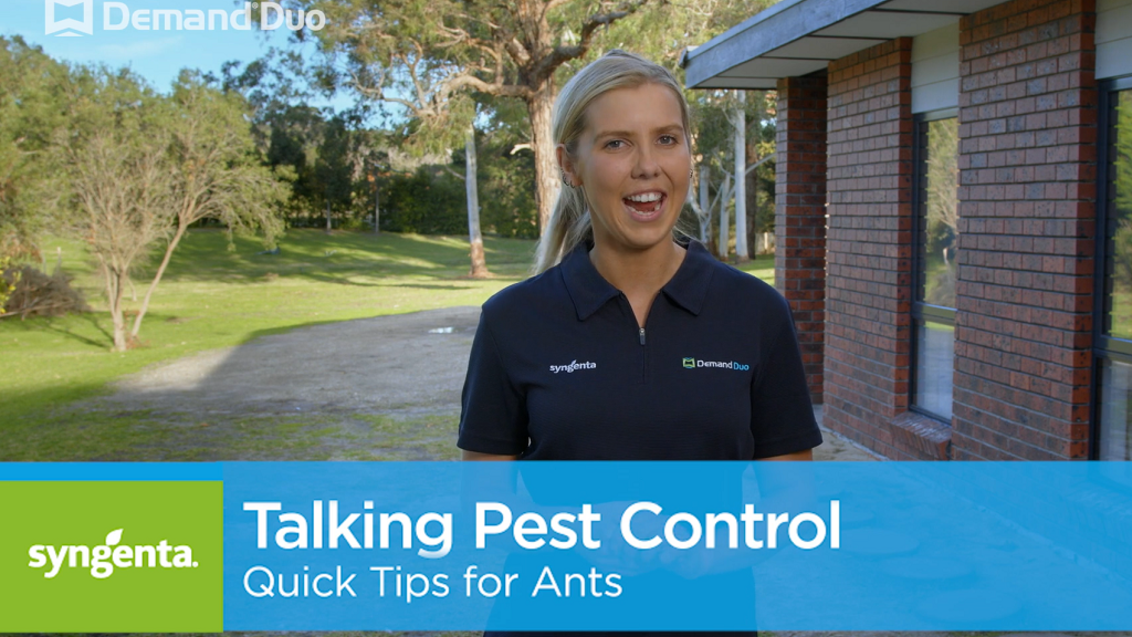 Aimee's Quick Tips for Ant Control