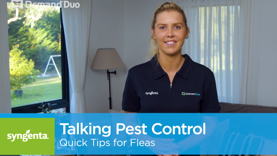Talking Pest Control: Quick Tips for Flea Control