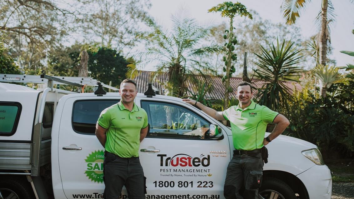 Dynamic Duo Tudor and Wesley Vasile