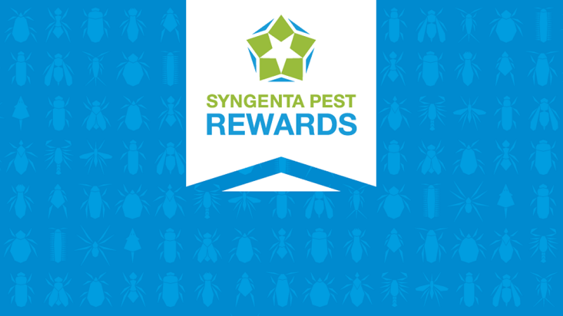 Pest Rewards 1024px banner