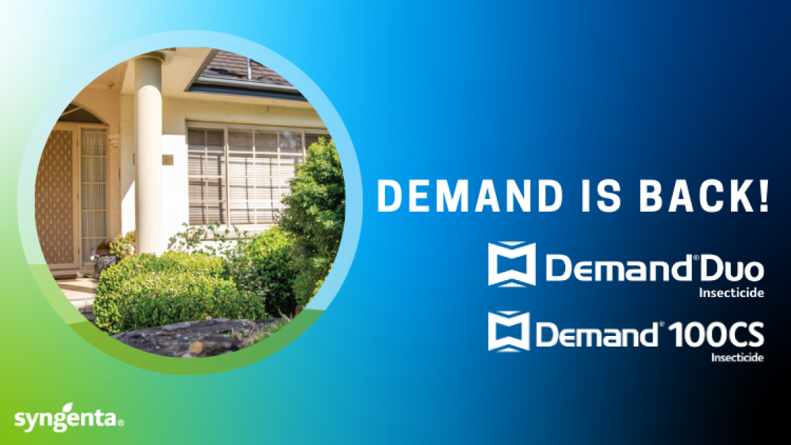 Demand is Back!