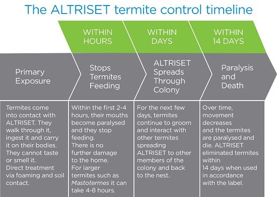 Altriset works fast timeline