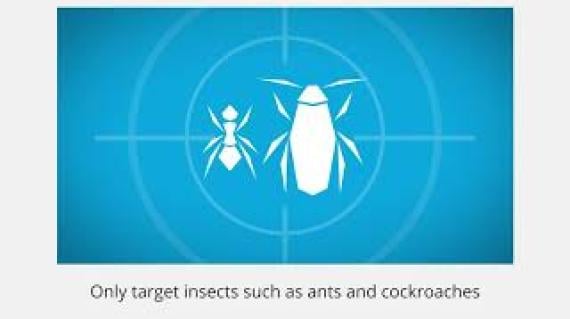 The science behind bio-activation in gel baits