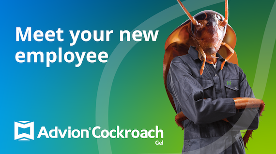 Meet Your New Employee - Cockroach