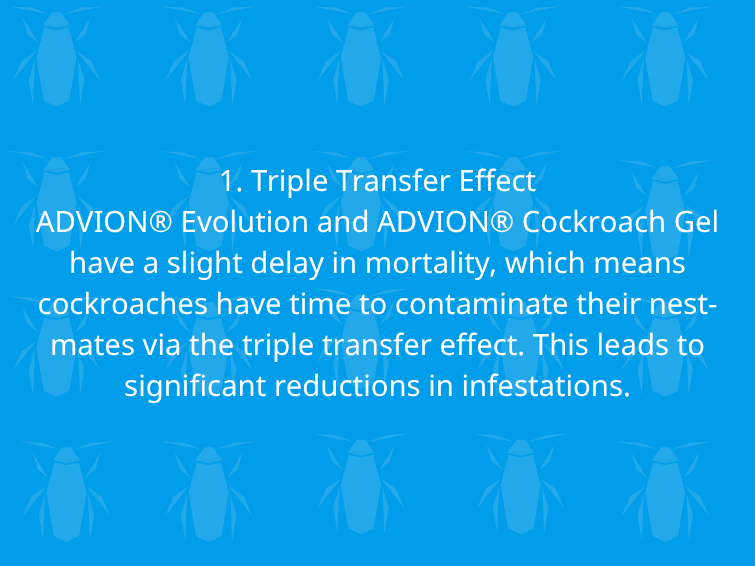 Triple Transfer Effect