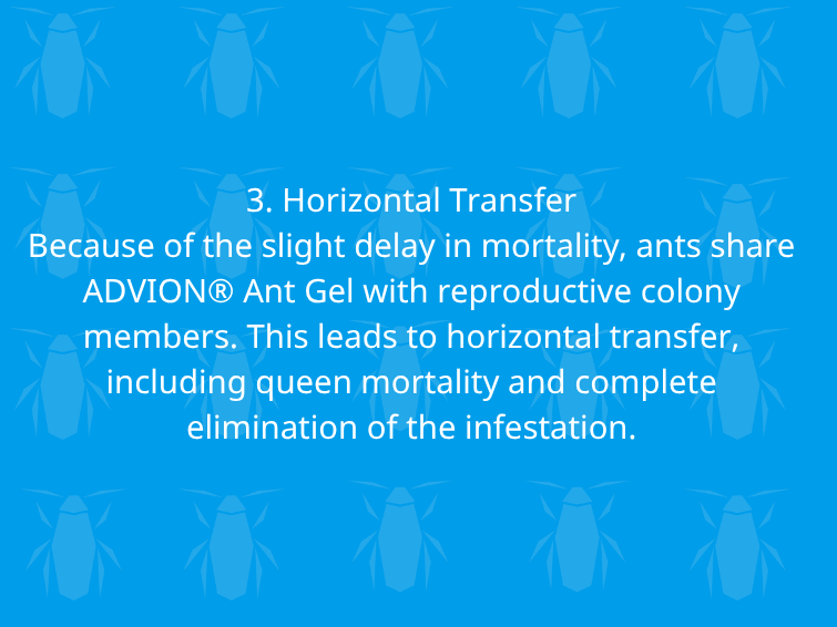 Horizontal Transfer