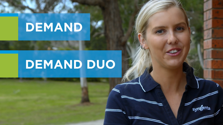 Demand vs Demand Duo