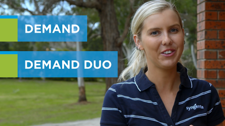 Demand vs Demand Duo