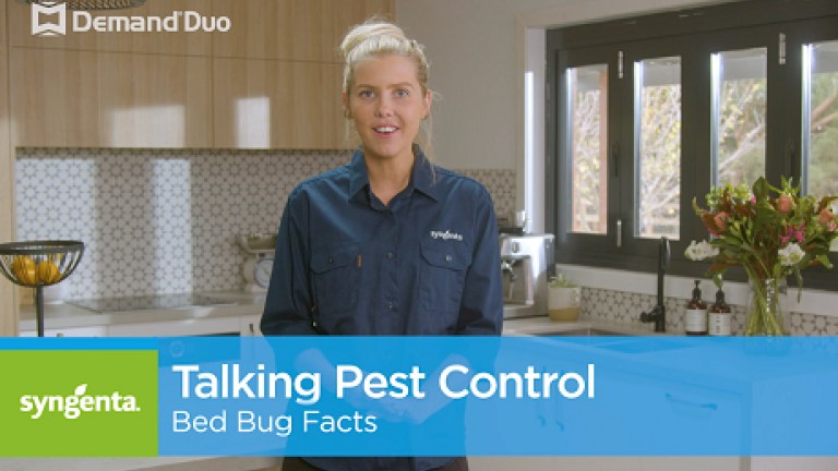 Bed Bug Facts with Aimee
