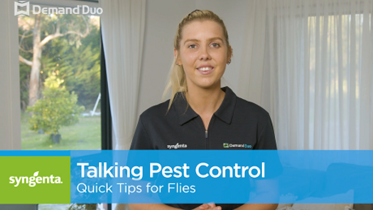Aimee's quick tips for fly control