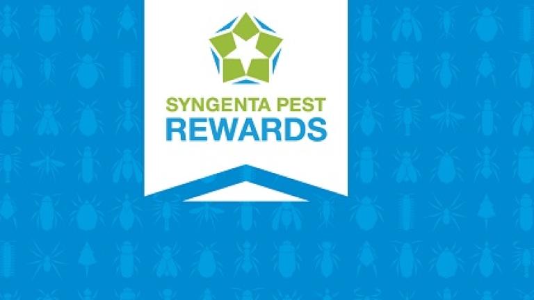 Pest Rewards Teaser 