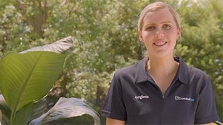 Demand 100CS plant whisperer teaser