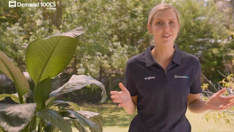 Demand 100CS plant whisperer hero