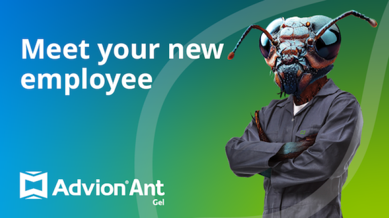Meet Your New Employee - Ant 