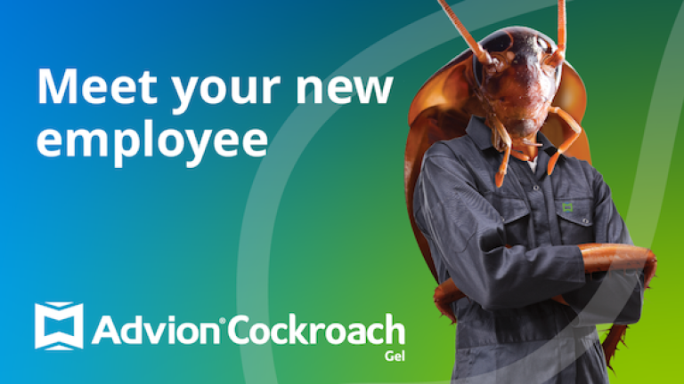 Meet Your New Employee - Cockroach