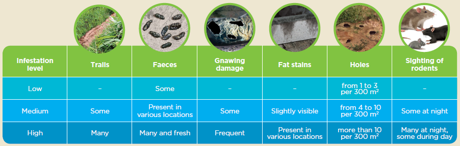 Signs of rodents and level of infestation